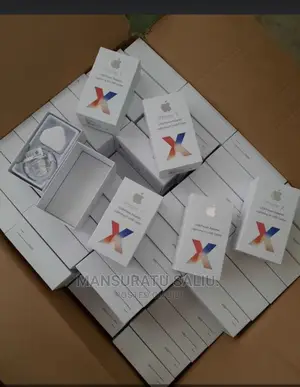 iPhone Original Charger
