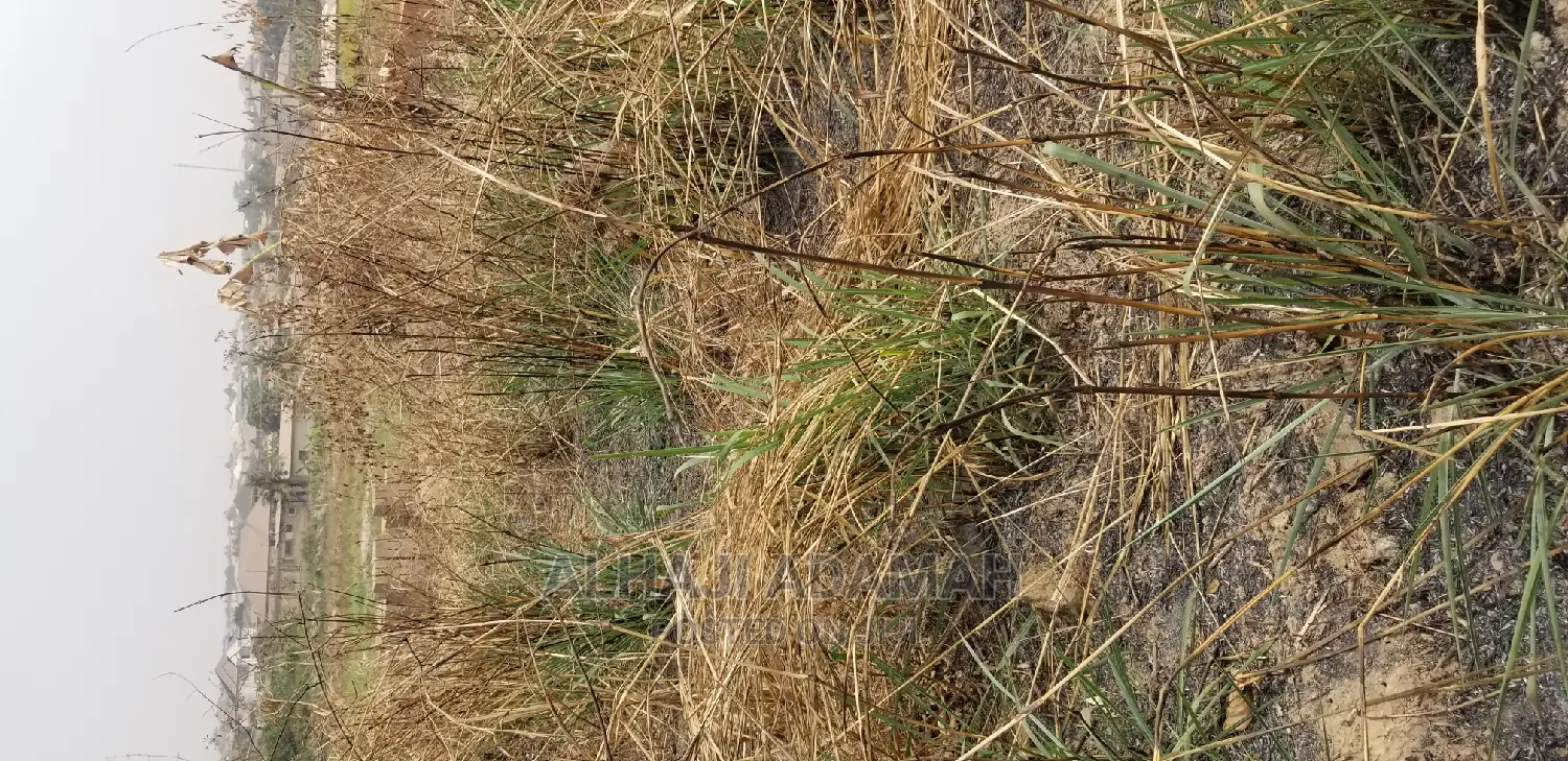 Land for Sale at Santa'si Darko