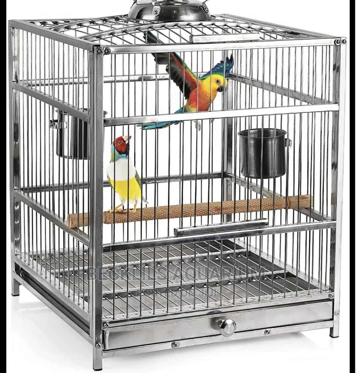 Bird Cages N More