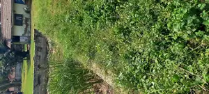 Sea -View 4 Plots of Business Land for Sale