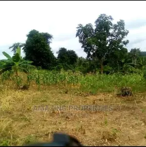 550 Acres at Nsawam Accra Kumasi New Highway,Is