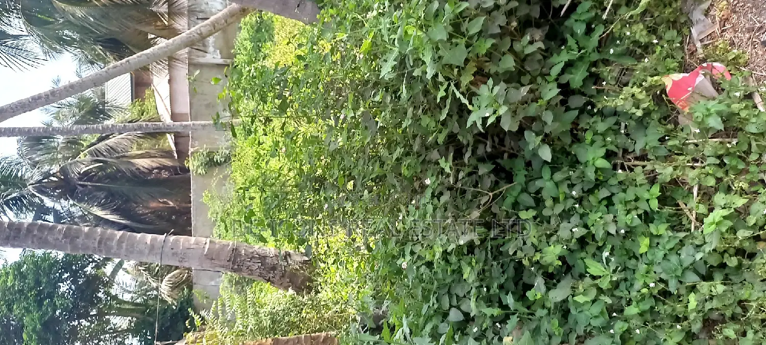 Sea -View 4 Plots of Business Land for Sale