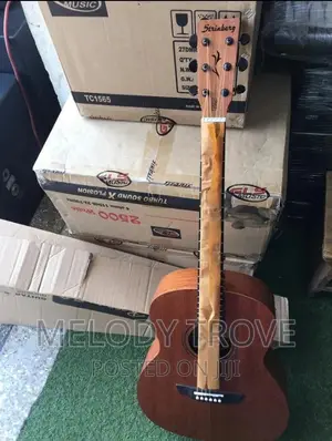 Strinberg Semi-Acoustic Guitar (Forest Series)