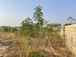 ONE Plot of Land for Sale at Legon Hills Around Blue Kiosk