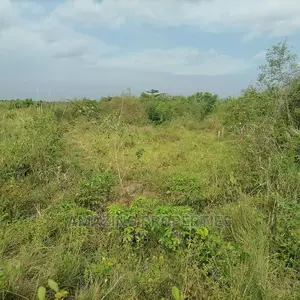 6,000 Acres of Farmland for Sale at Asamankese Quarshie