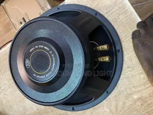 JLD-PW12101-10 12” 1100watts PA Speakers