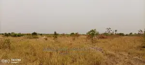 200acres of Land Available for Sale at Ayikuma