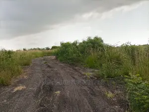 50acres of Mango Farm Land for Sale at Agomeda