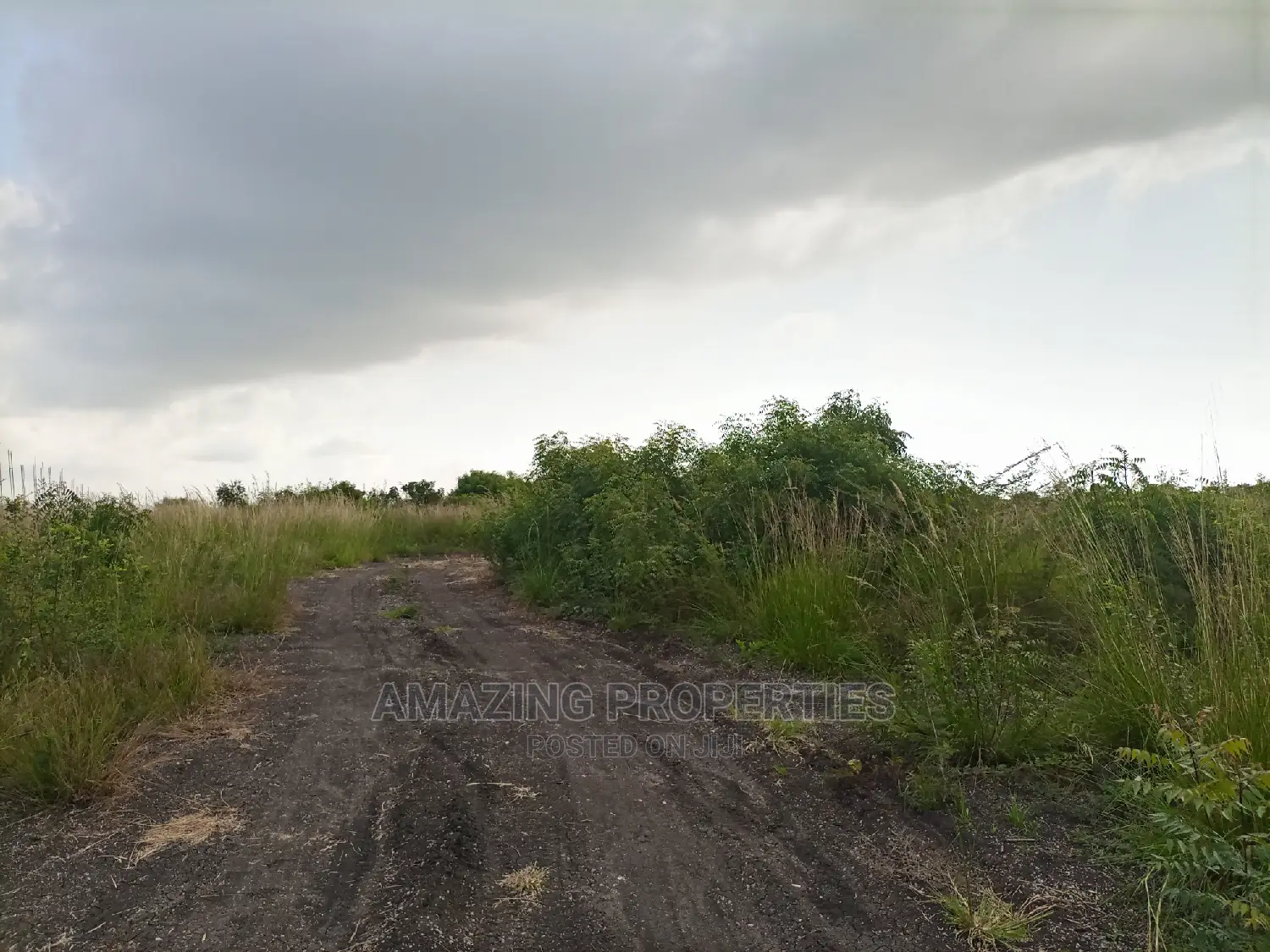 For Sale 3000acres of Land at Asebi, Shai-Osudoku District