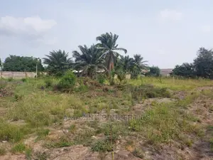 For Sale a TITLED 3 Plot
 Roman Ridge