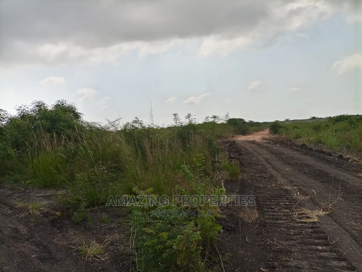 230acres of Roadside Land Available for Sale Dawenya Central
