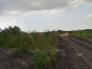 230acres of Roadside Land Available for Sale Dawenya Central