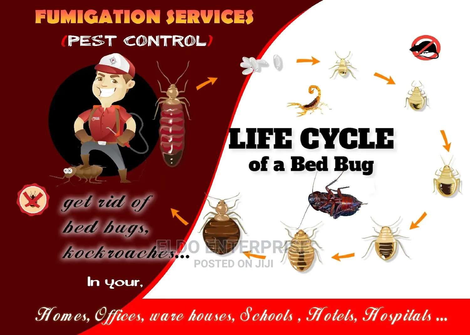 Indoor and Outdoor Fumigation Service