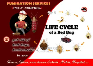 Indoor and Outdoor Fumigation Service
