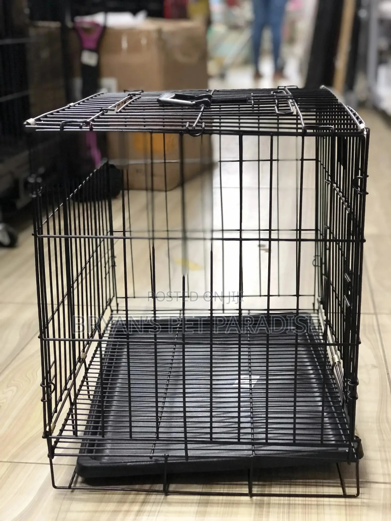 Medium Size Poodle Cages Available