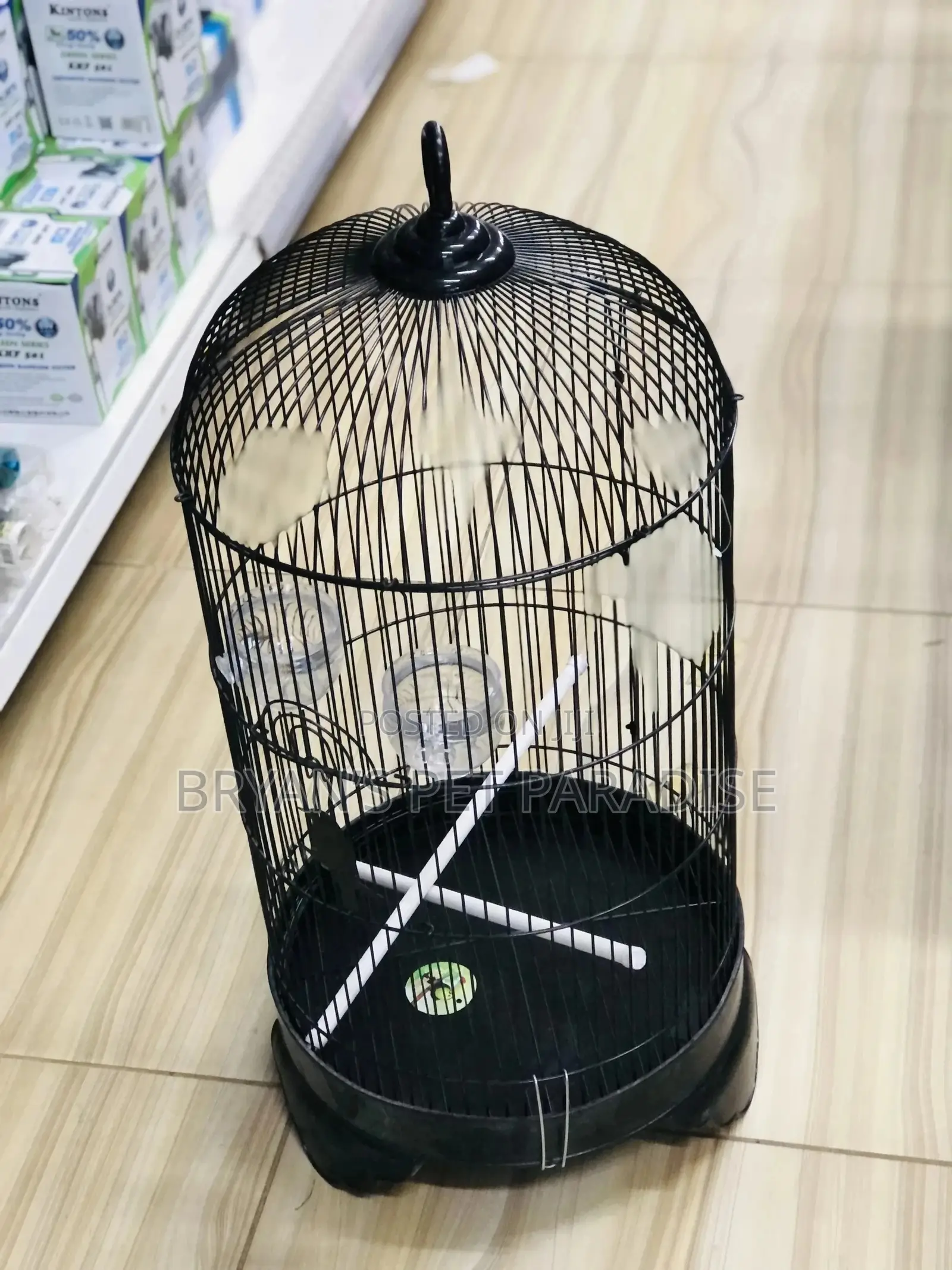 American Parrot Cages