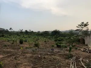 18 Plots of Land for Sale at Peduase