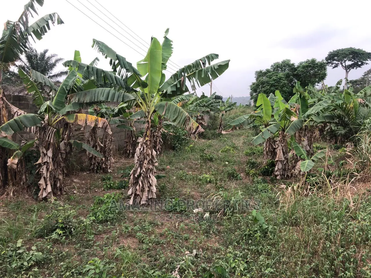 18 Plots of Land for Sale at Peduase