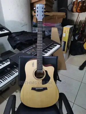 Acoustic Guitar (Rosen)