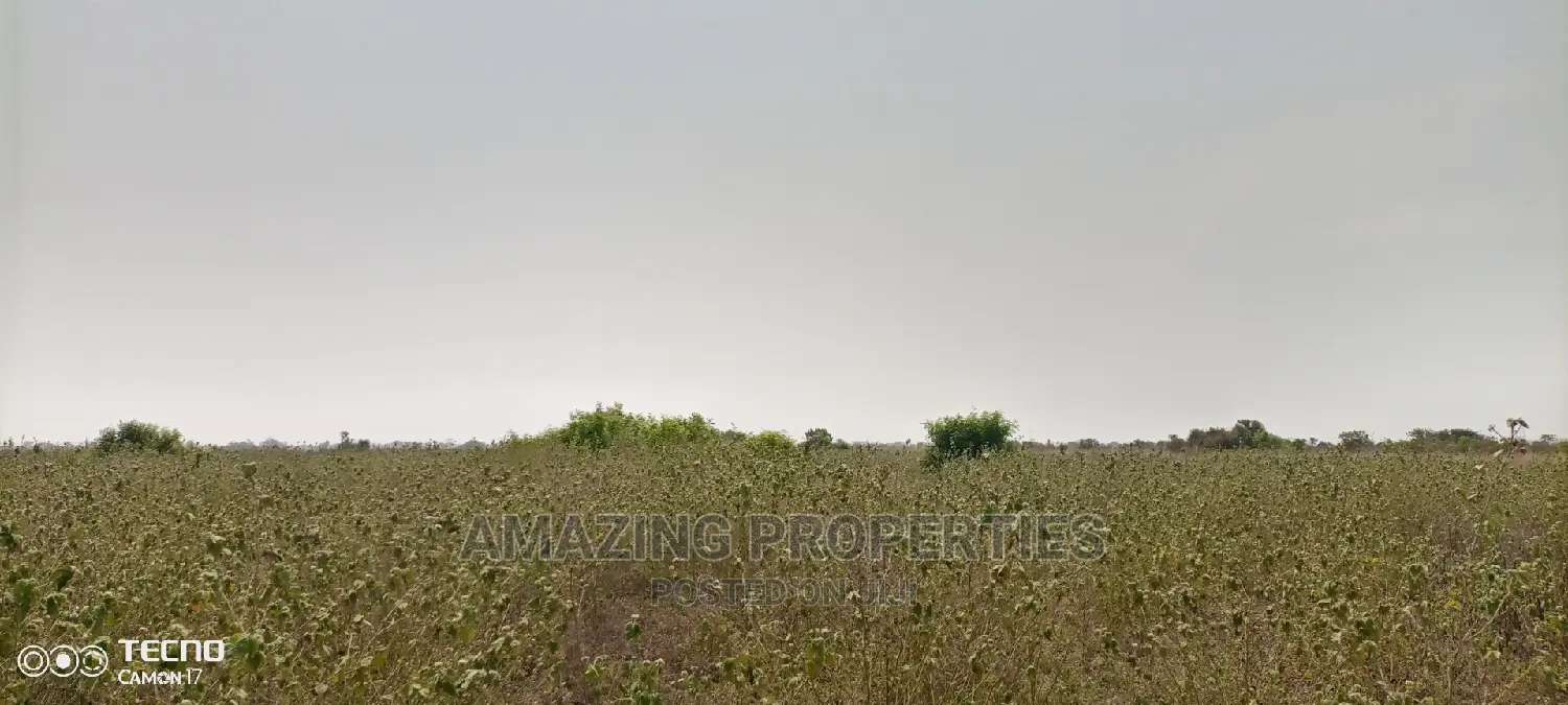 150acre Land Near Central University College Miotso Dawehnya