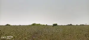 150acre Land Near Central University College Miotso Dawehnya