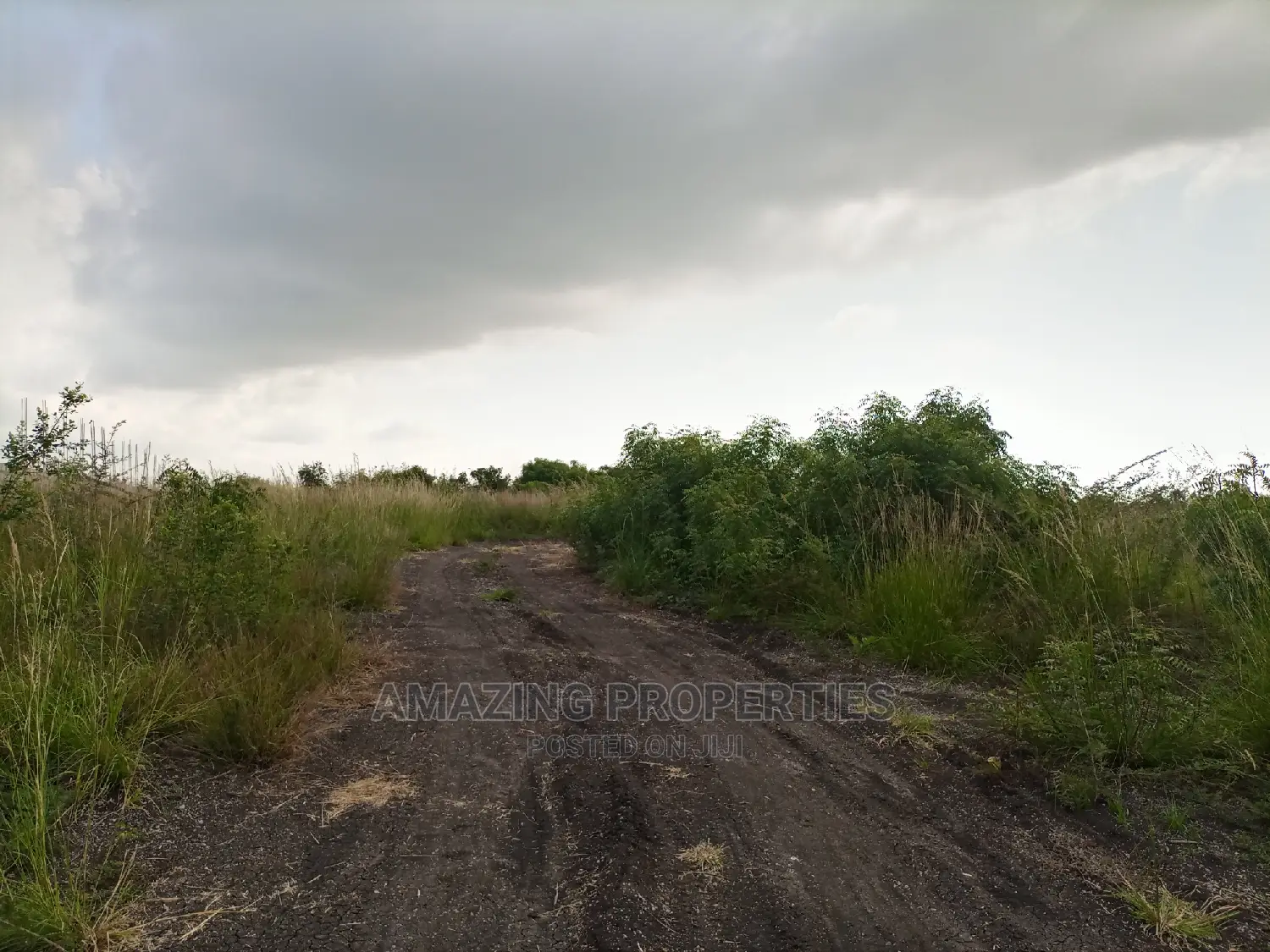 1000acres of Roadside Land Available for Sale at Tsopoli