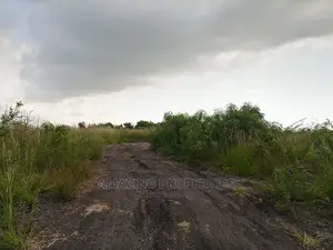 1000acres of Roadside Land Available for Sale at Tsopoli