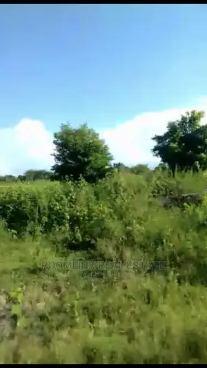 Farmlands Land at Kintampo