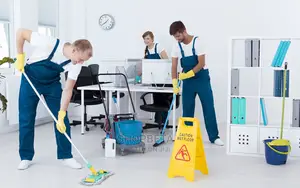 Professional Cleaning Services