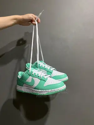 Nikesb Dunk