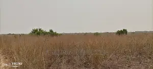 300acres Roadside Land For Sale Dawhenya Centraluniversity