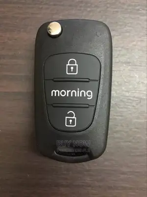 Kia Morning Key Shell(Case)