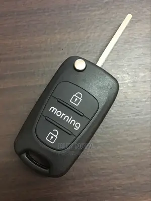 Kia Morning Key Shell(Case)