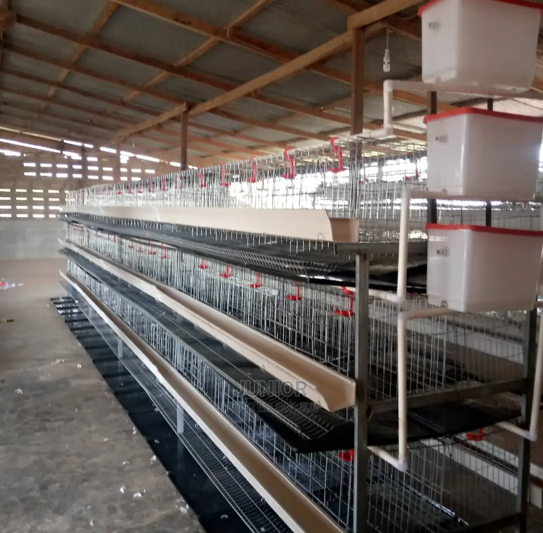 Strongest Chicken Cages