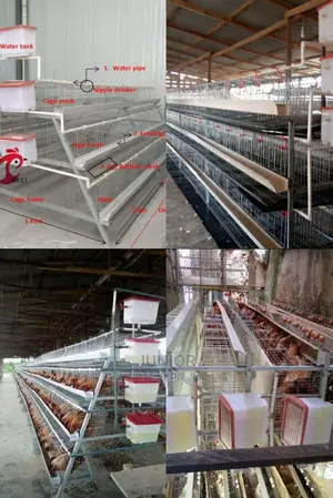 Strongest Chicken Cages
