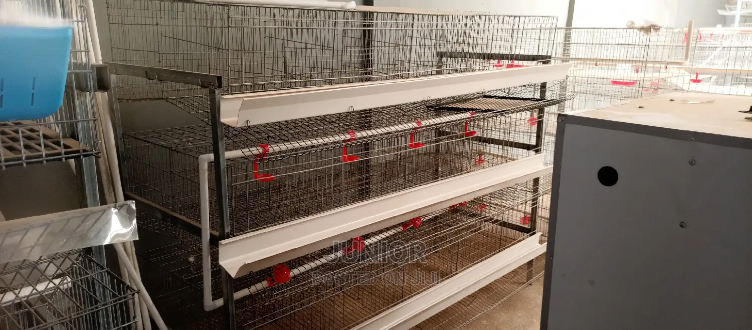 Strongest Chicken Cages