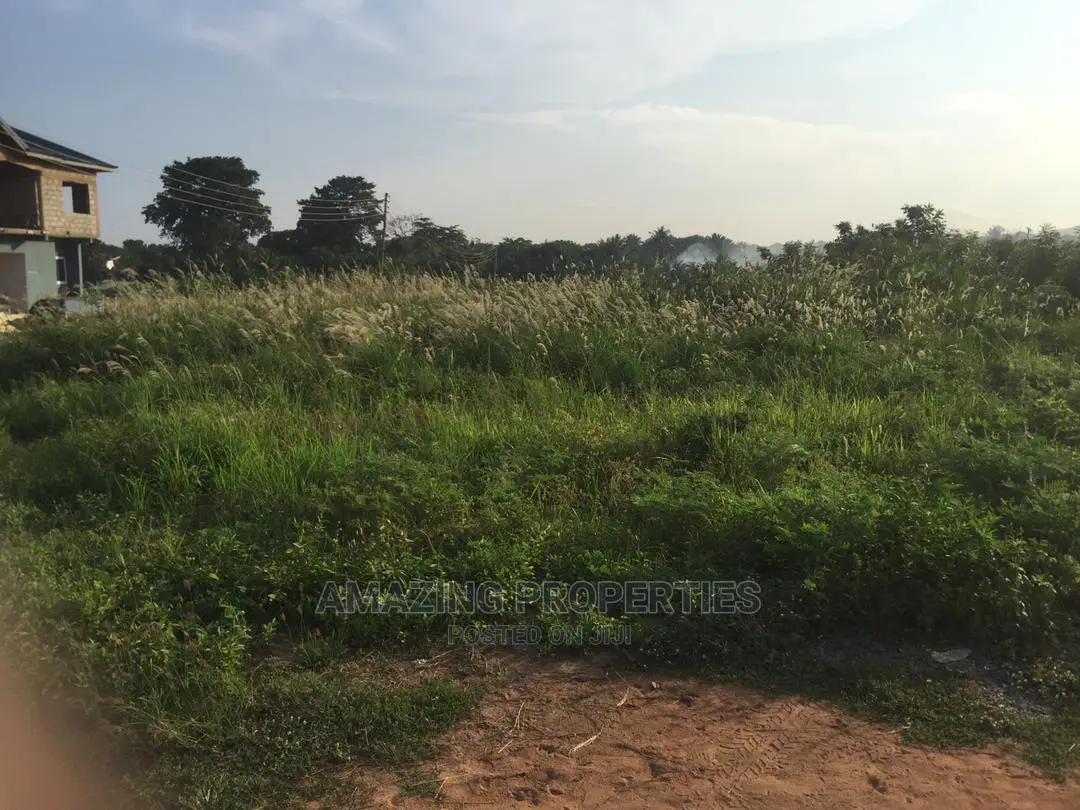 6 Acres for Sale on the UPSA Main Road.