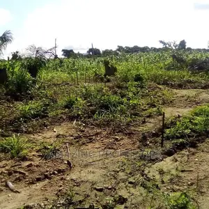 117 Acres Land 
For Sale Boateyman Zoom Lion Head Office