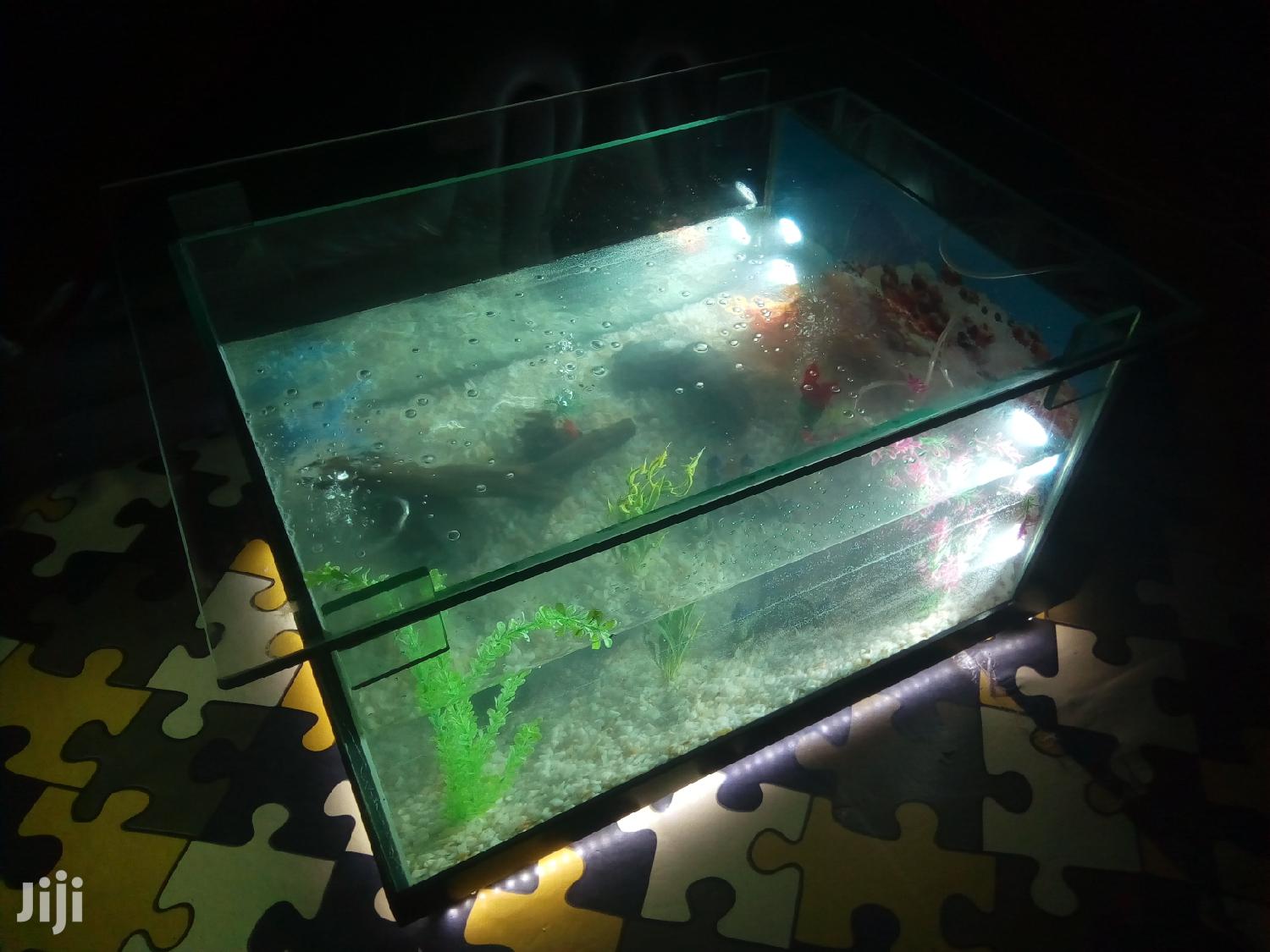 Aquarium