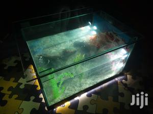 Aquarium