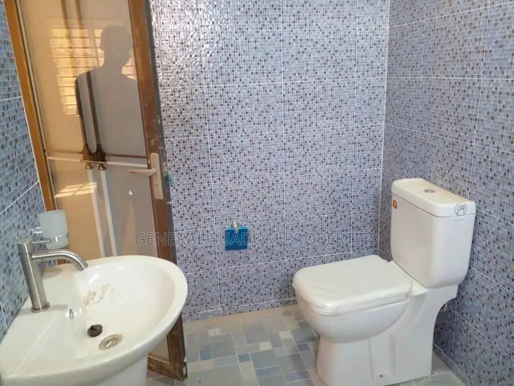 2bdrm Apartment in Suadom Properties, Baatsona Total for rent