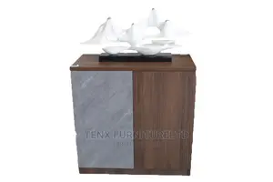 Cabinet With 2 Wooden Door