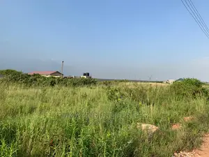 For Sale 300acres of Land 
Location:Tsopoli