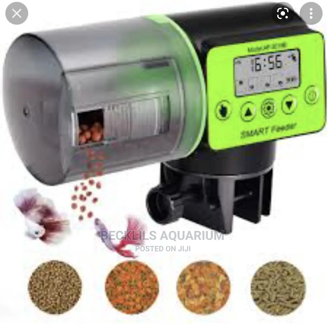 Quality Automatic Feeder
