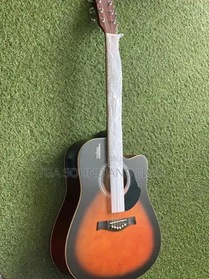 Rosen Semi-Acoustic Guitar With Bag, Strap, Capo and String