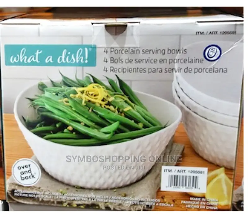Over Back 4-Piece 'What a Dish' Porcelain Bowl Set, White