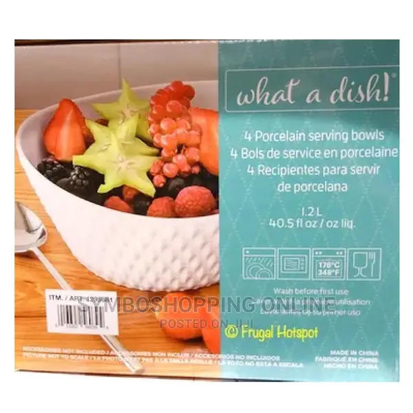 Over Back 4-Piece 'What a Dish' Porcelain Bowl Set, White