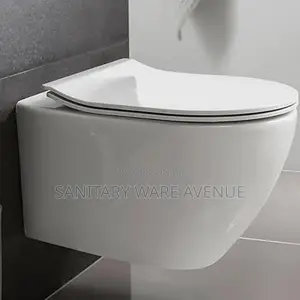 Concealed Wall Mounted Water Closet - Hanging WC
