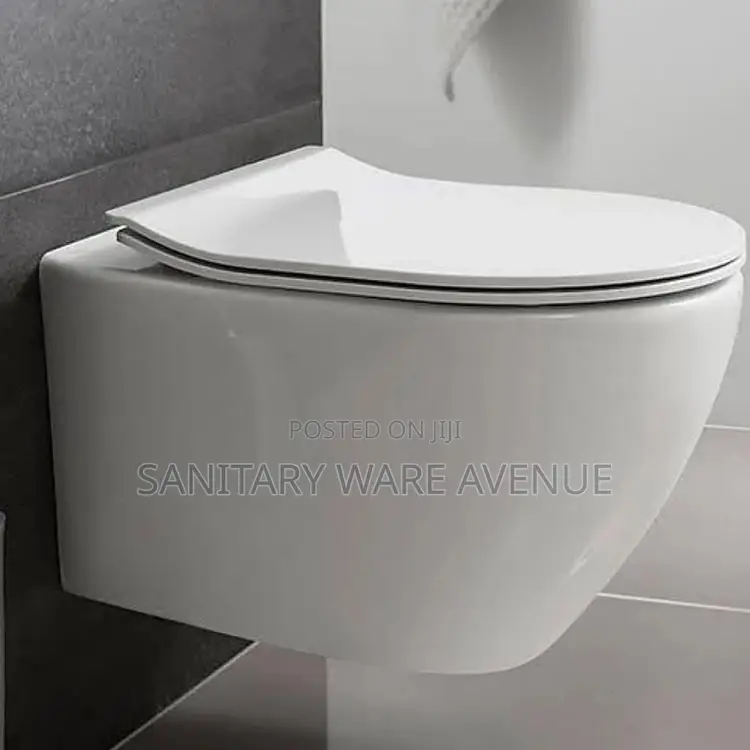 Concealed Wall Mounted Water Closet - Hanging WC