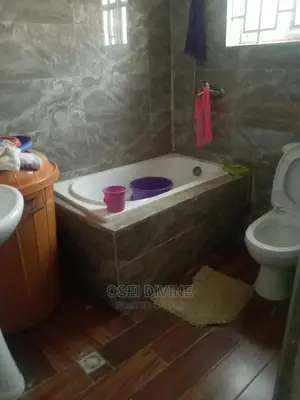 Exe 2-Bedrooms Apartment With AC Dansoman